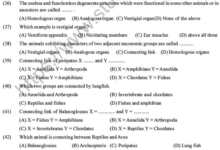 NEET Biology Evolution MCQs Set B, Multiple Choice Questions